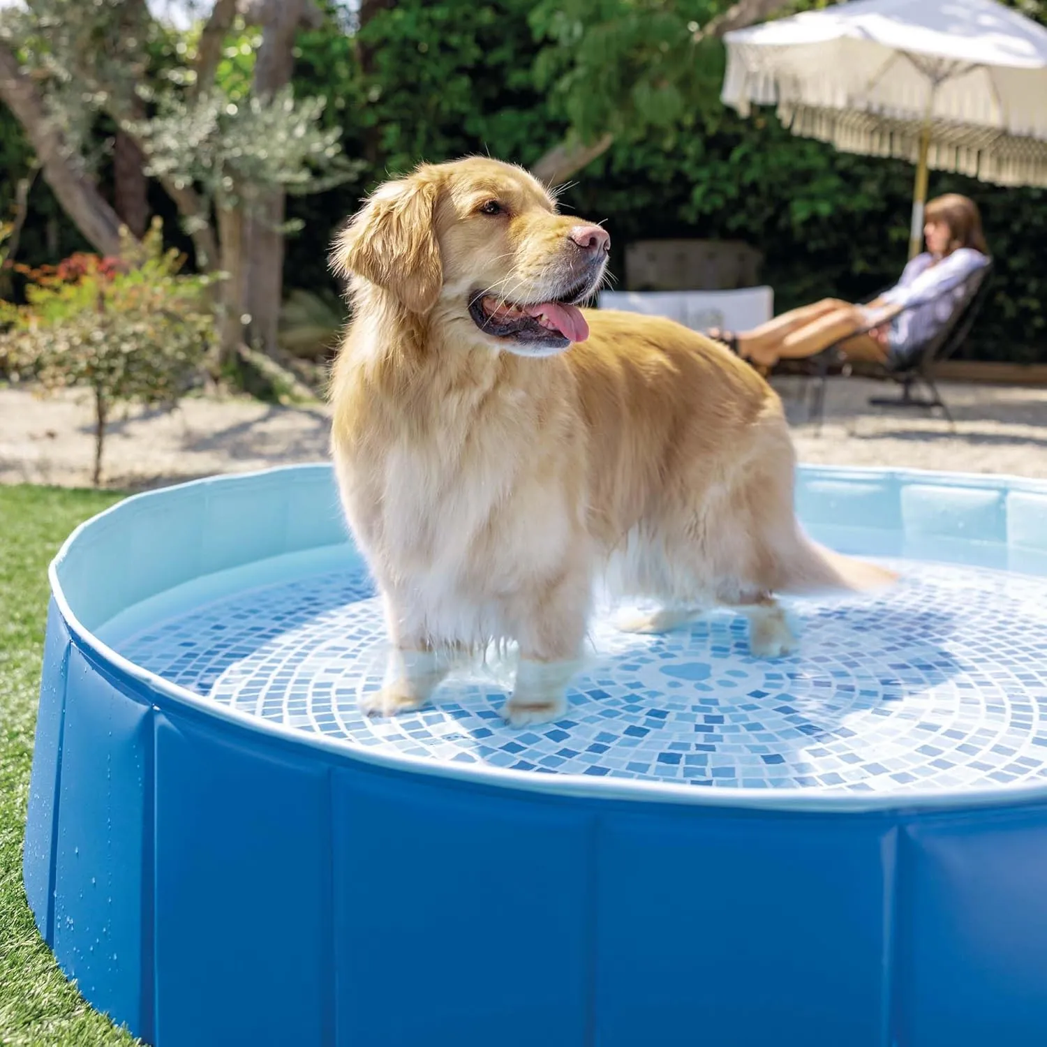 Intex faltbarer Hundepool 152x30cm